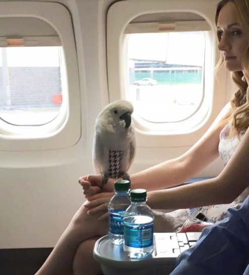 16 People Who Have Absolutely No Idea How To Handle Themselves On Planes
