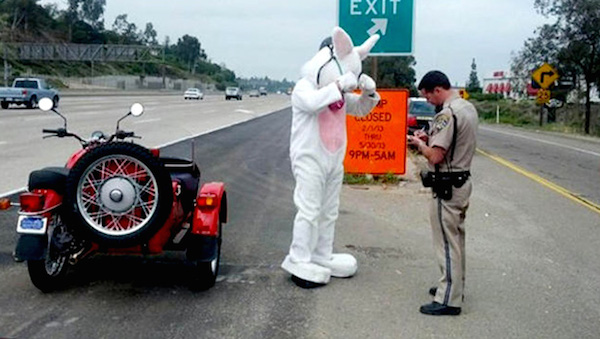 Even the Easter Bunny is not immune to the rules of the road. In 2013, a California Highway Patrol officer made an unusual traffic stop when a man in a bunny suit was caught driving a motorcycle without a helmet. 

The officer, who was on a routine patrol on Interstate 8, observed the costumed man traveling down the highway near San Diego. He proceeded to make a traffic stop after noticing the bunny's tall white ears were not covered with a helmet. He also said the costume posed a safety concern, as it was a visual impairment.

The bunny told the officer he was headed to a charity event and was sent away with a verbal warning.