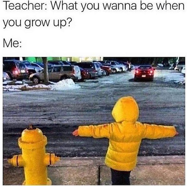 memes to pass time - Teacher What you wanna be when you grow up? Me