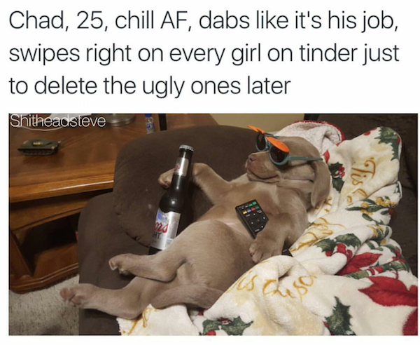 cracking open a cold one with the good boys - Chad, 25, chill Af, dabs it's his job, swipes right on every girl on tinder just to delete the ugly ones later Shitheadsteve