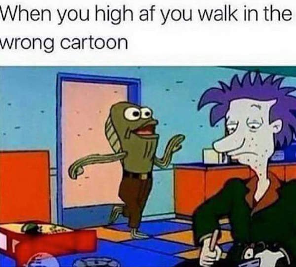 wrong cartoon meme - When you high af you walk in the wrong cartoon