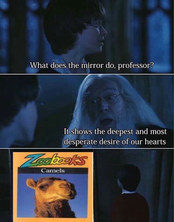 does the mirror do meme - What does the mirror do, professor? It shows the deepest and most desperate desire of our hearts Fodbooks Camels