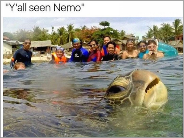 holiday photo bomb - "Y'all seen Nemo"