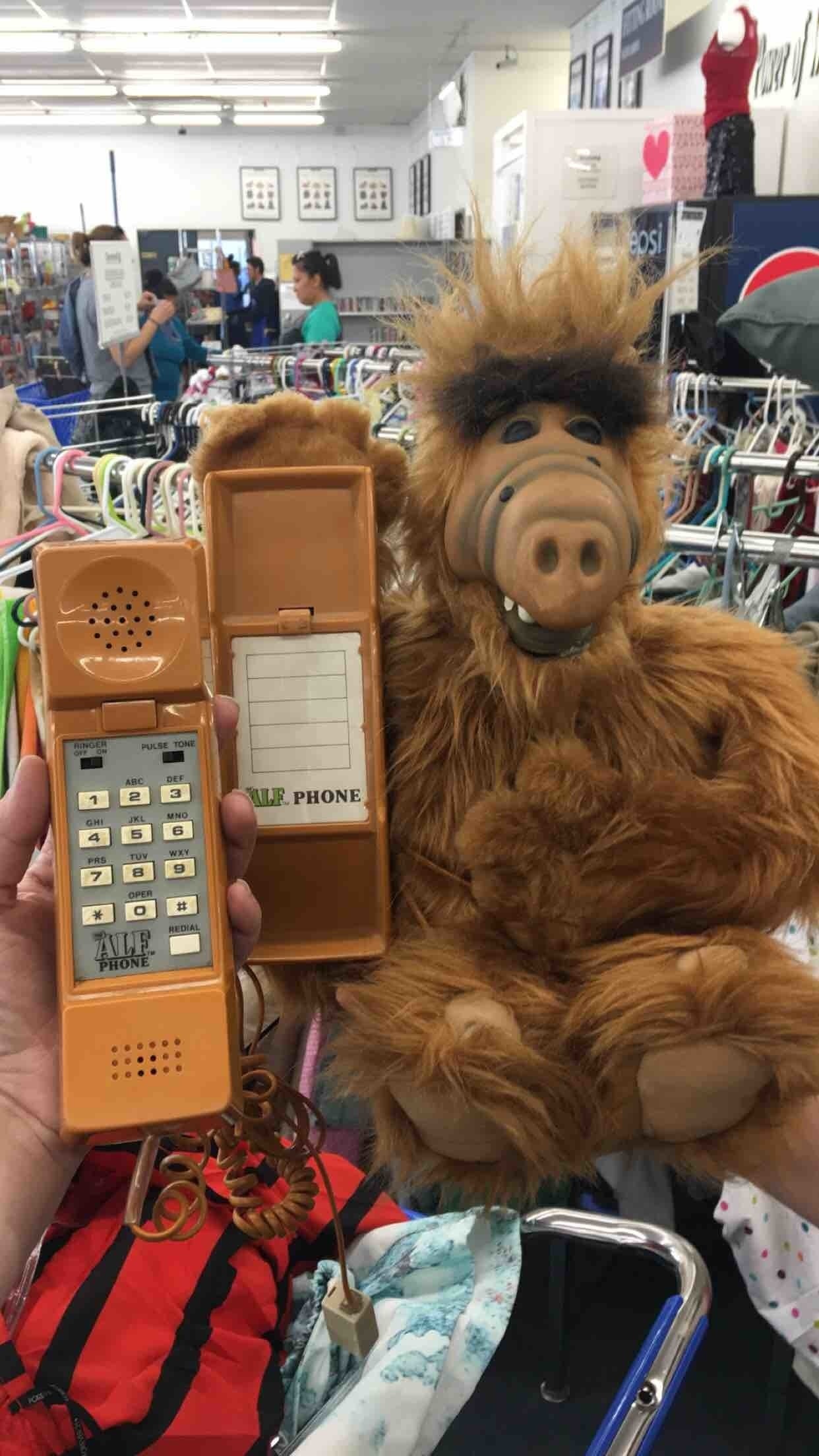 This Alf phone is a pretty important find.
