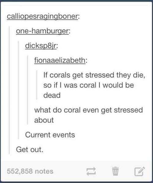 tumblr - number - calliopesragingboner onehamburger dicksp8ir fionaaelizabeth If corals get stressed they die, so if I was coral I would be dead what do coral even get stressed about Current events Get out. 552,858 notes
