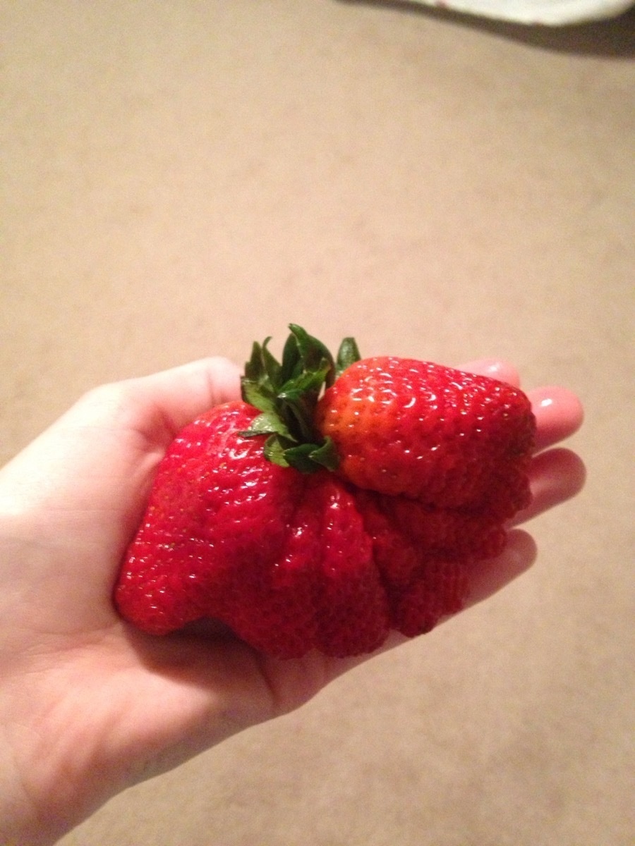 A massive, overgrown strawberry.