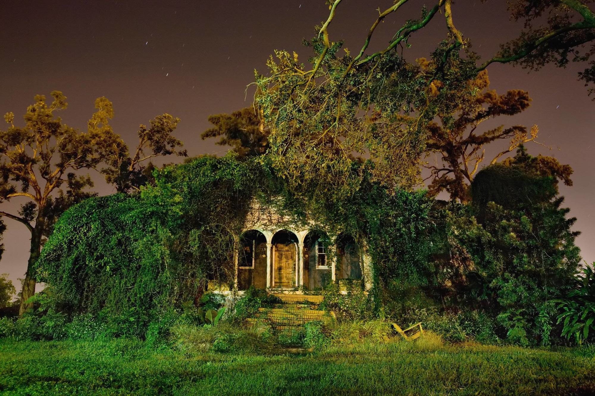 Greenery are the new tenants of this abandoned house in New Orleans.