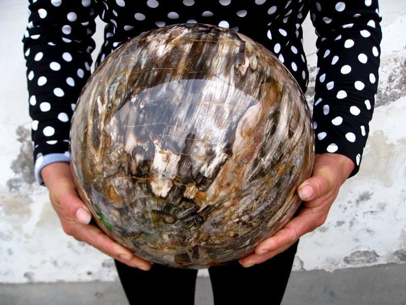 A perfectly polished sphere of petrified wood.
