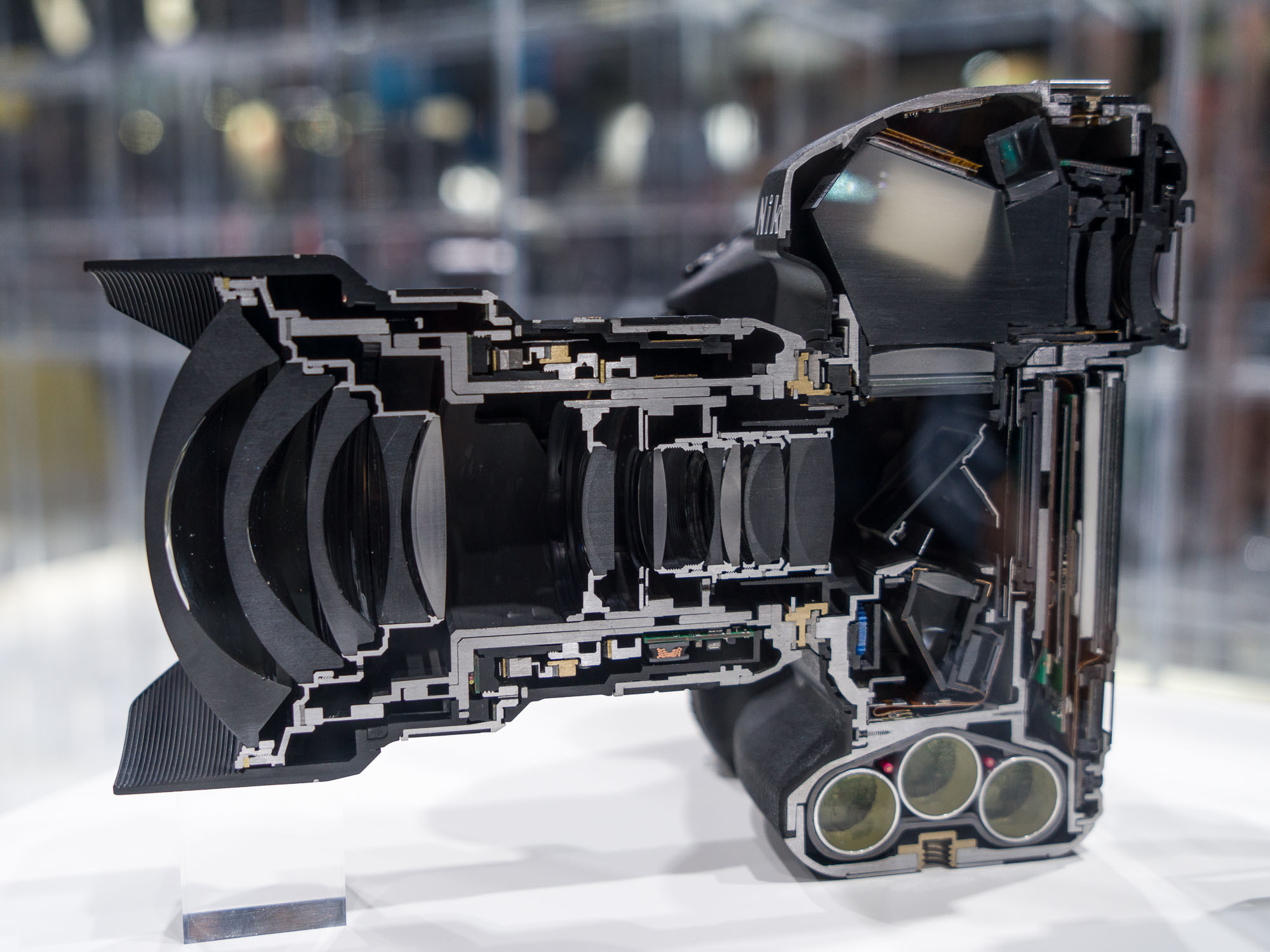 The framework of the Nikon D5 Camera.