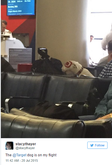 28 Celebrities Spotted At The Airport Slumming It Like The Rest Of Us