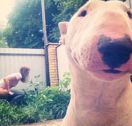 10 Adorably WTF Moments That Are So Weird It's Cute