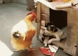 10 Adorably WTF Moments That Are So Weird It's Cute