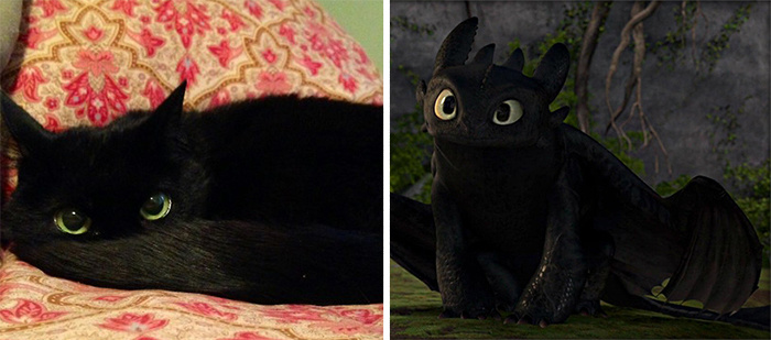 toothless how to train your