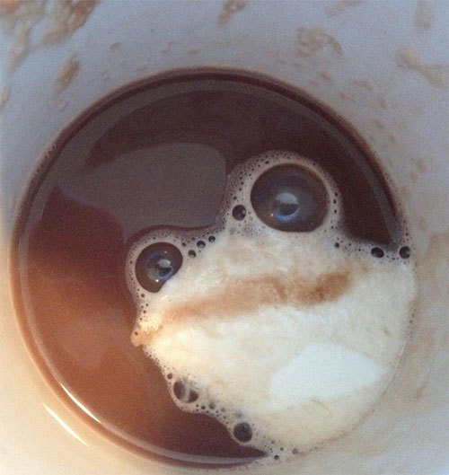 coffee frog