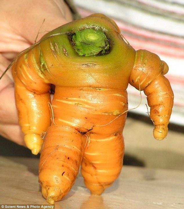 buzz lightyear carrot - Solent News & Photo Agency