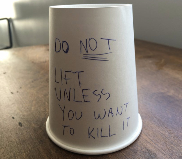 Leave this message and cup on your kid's homework desk.