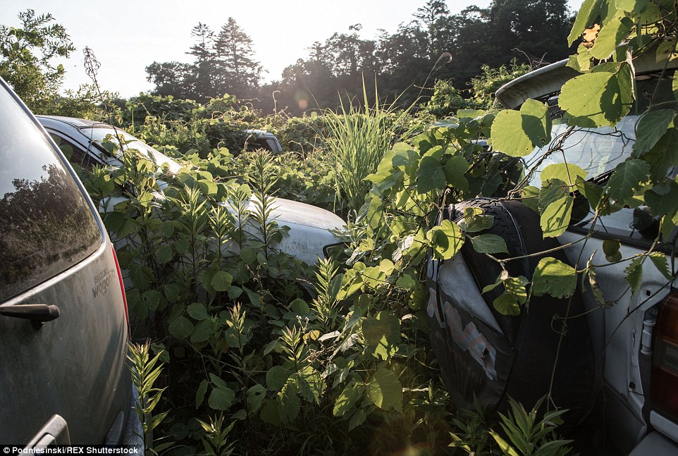 People evacuated the area after the disaster in 2011 leaving cars, homes and other buildings abandoned.