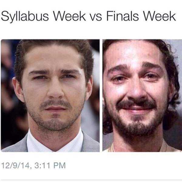 memes de trading - Syllabus Week vs Finals Week 12914,