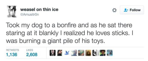 weasel on thin ice Amusitron Took my dog to a bonfire and as he sat there staring at it blankly I realized he loves sticks. I was burning a giant pile of his toys. 1,136 2,608 Uc 220022