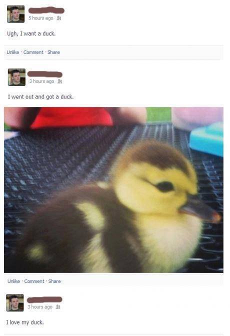 want a duck meme - 5 hours ago Ugh, I want a duck. Un Comment 3 hours ago I went out and got a duck. Un Comment 3hours ago I love my duck.