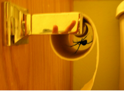 15 Nopes That Belong In The Nope Hall-Of-Fame