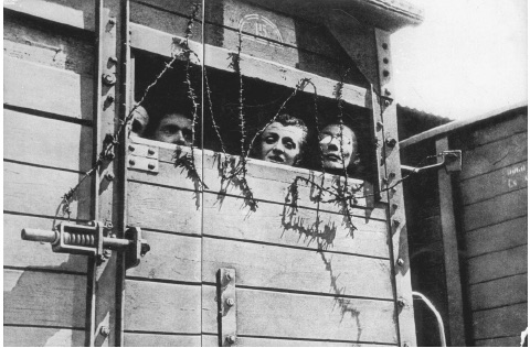 Hungarian Jews locked inside cattle car destined for a nazi death camp. April 1944