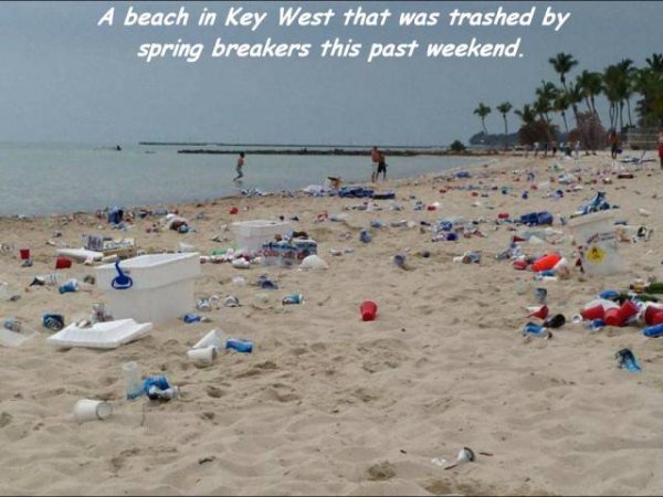 key west after spring break - A beach in Key West that was trashed by spring breakers this past weekend.