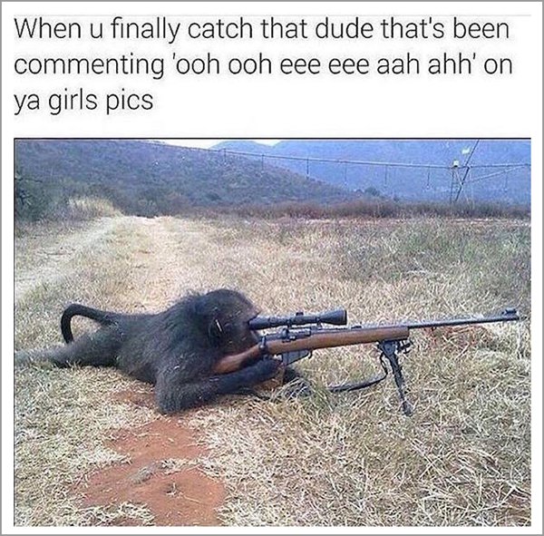 monkey with gun - When u finally catch that dude that's been commenting 'ooh ooh eee eee aah ahh' on ya girls pics