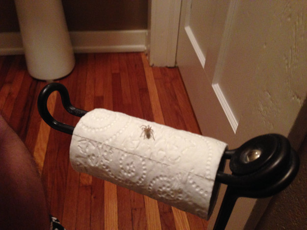 23 Unfortunate People Who Ran Out Of Luck