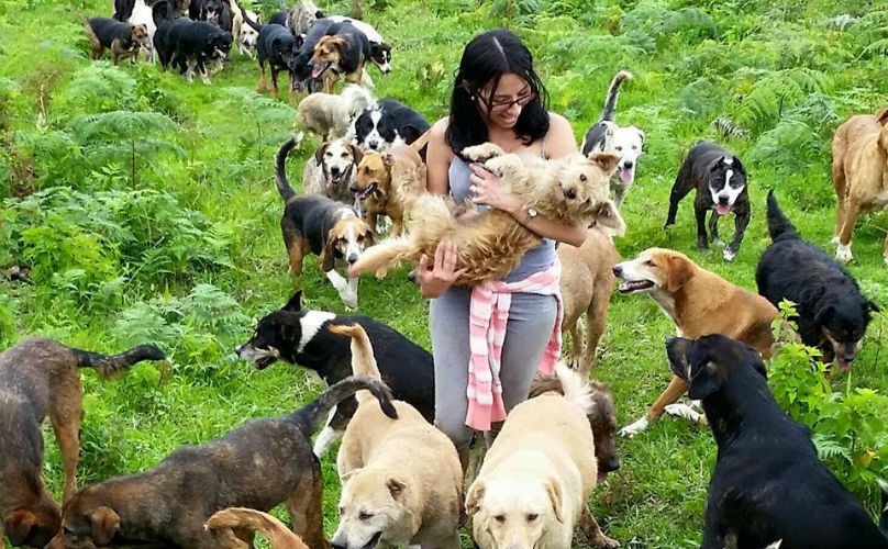 There is a territory in Costa Rica called Territorio De Zaguates (Land of the Strays) which is basically a huge no kill dog shelter where you can hike for free with the dogs