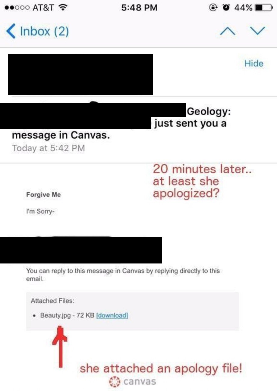 Student ‘apologizes’ to her class for being too beautiful