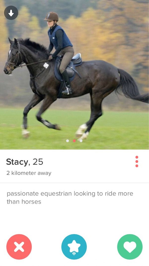 tinder - tinder equestrians - Stacy, 25 2 kilometer away passionate equestrian looking to ride more than horses