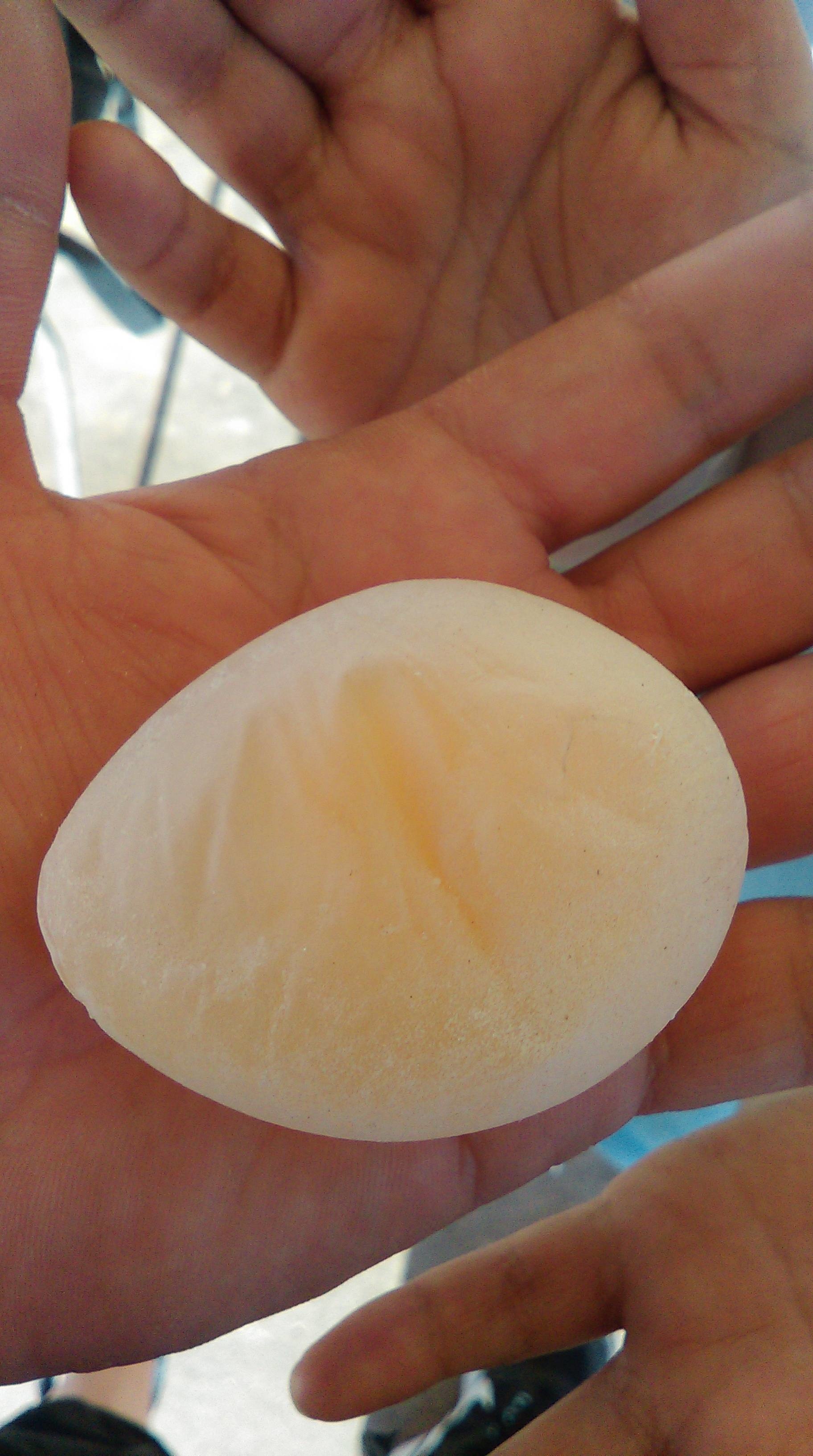 A shell-less egg freshly laid out of a chicken.