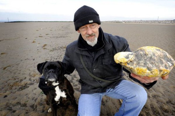 Ken Wilman’s dog Madge stumbled upon a smelly yellow lump of something on the beach in England, and it didn’t look like much. When Ken got back home he naturally looked it up online, and found that it was actually a 6-pound pile of “whale vomit”, or ambergris. He ran back to get it because it turns out that it was worth up to $180,000. Why? High-end European perfumeries use it as a “fixer” which allows the scents to stay on the skin for a long time.