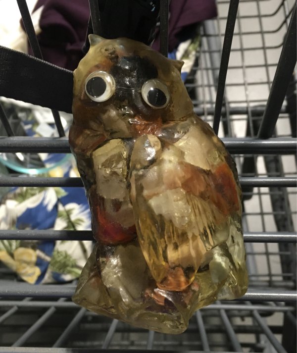 29 interesting things found at the thrift store