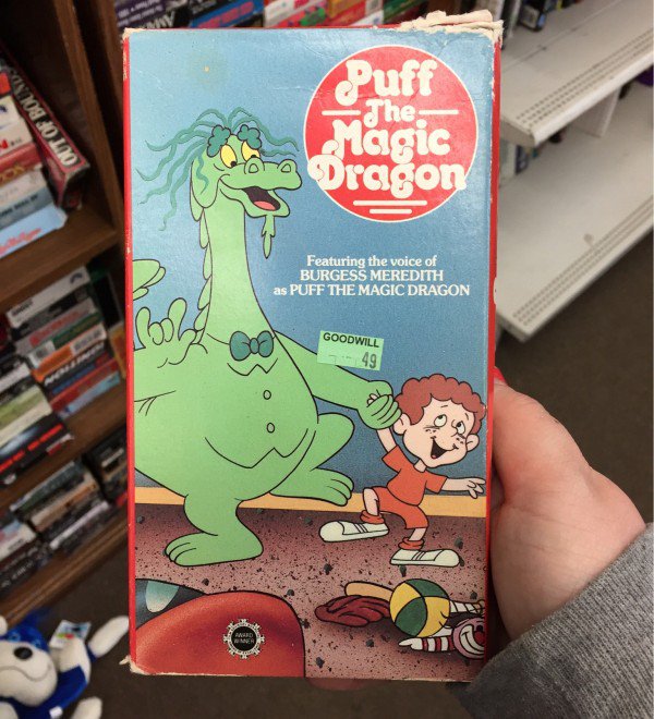 29 interesting things found at the thrift store