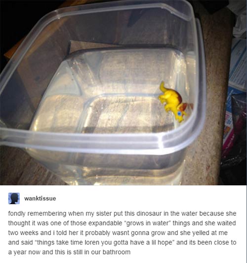 tumblr - animal stories - wanktissue fondly remembering when my sister put this dinosaur in the water because she thought it was one of those expandable "grows in water things and she waited two weeks and i told her it probably wasnt gonna grow and she ye