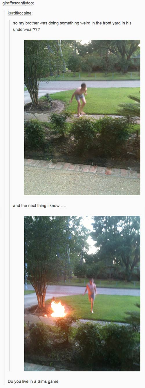 tumblr - funny tumblr posts about siblings - giraffescanflytoo kurdtkocaine so my brother was doing something weird in the front yard in his underwear??? and the next thing i know...... Do you live in a Sims game