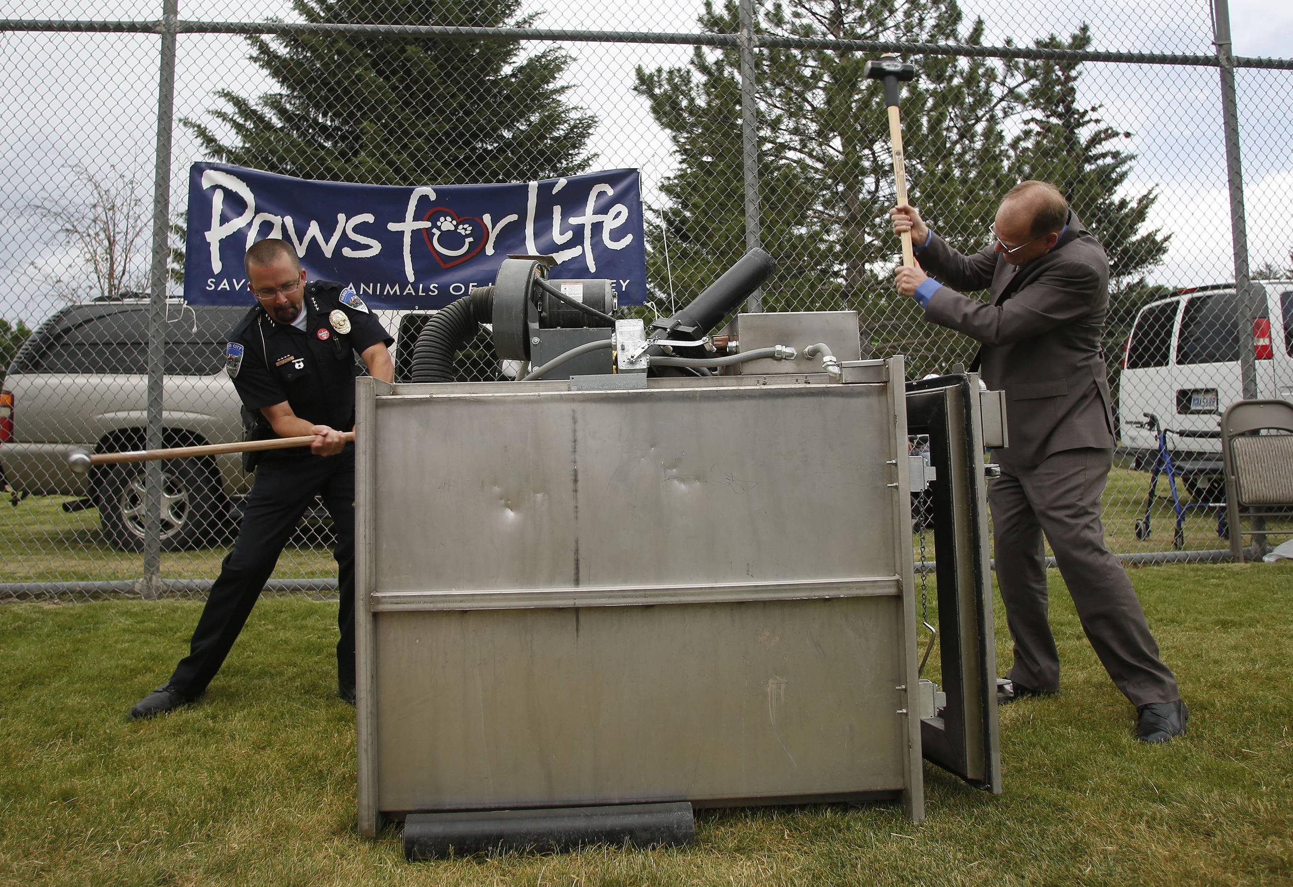 Police officer and Utah state representative take sledgehammers to a dog euthanasia chamber