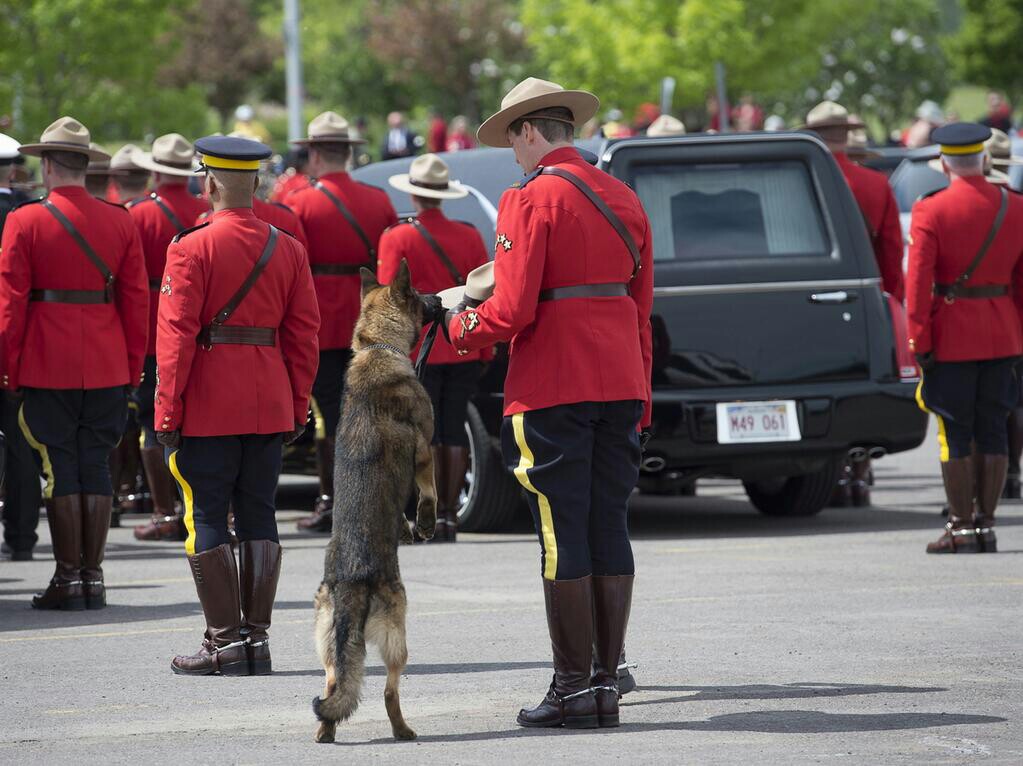 A Police dog sniffing the hat of his handler who was killed in the line of duty