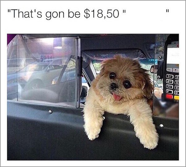 34 pictures you can't argue with