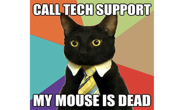 Tech support at most technology retail stores is forced to overcharge you for silly things. Make sure your grandma doesn't go to Best Buy because she can't log into her email.