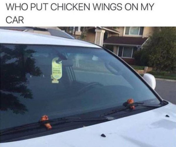 windshield - Who Put Chicken Wings On My Car