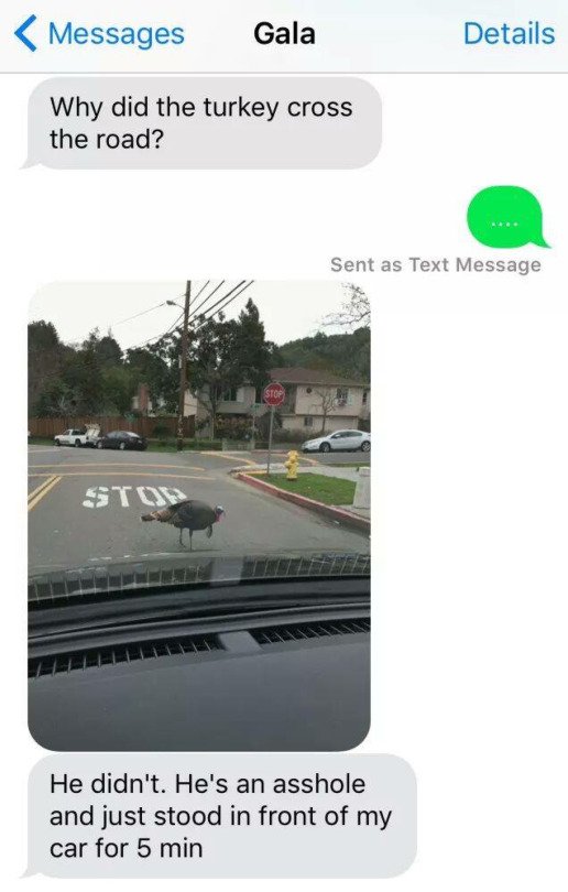 did the turkey cross the road -