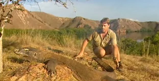 Steve Irwin was filming a documentary in 2003 when he heard scuba divers went missing. He and his whole film crew stopped filming to aid in the 2 day search and rescue of the missing divers.