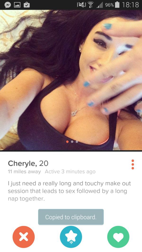 29 Tinder Profiles that sure get right to the point