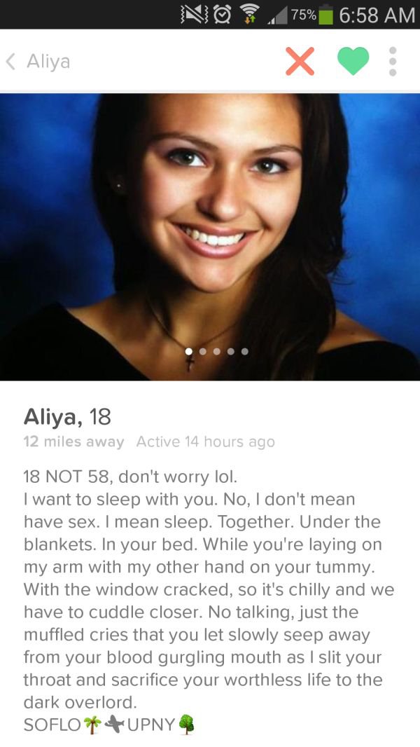 29 Tinder Profiles that sure get right to the point - Wow Gallery ...