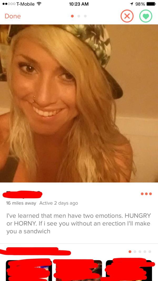 29 Tinder Profiles that sure get right to the point