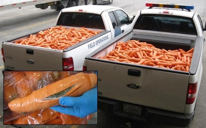 Drug smugglers were caught trying to hide more than a ton of marijuana disguised as carrots while crossing the U.S.-Mexico border.