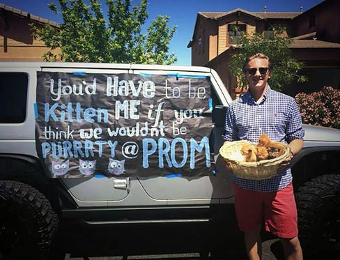 car promposals - Youd Have to be Kilten Me if one I think we wouldn't be Purrrty @ Prom